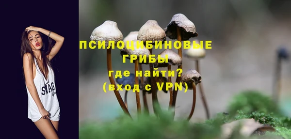 трава Армянск