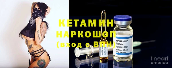 сатива Балахна