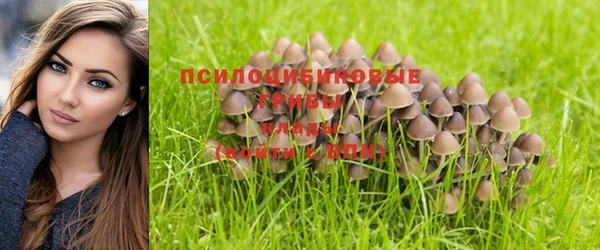сатива Балахна