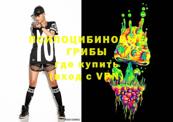 сатива Балахна