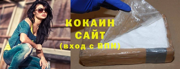 сатива Балахна