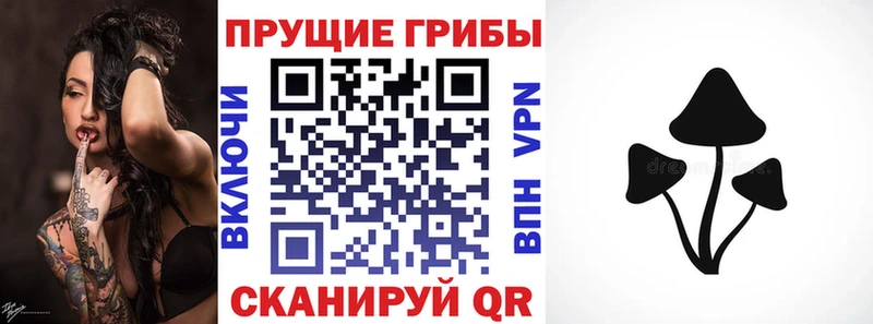 Псилоцибиновые грибы мухоморы  Соль-Илецк 